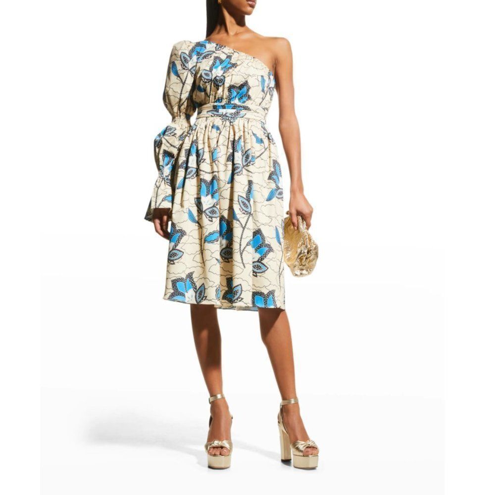 Autumn Adeigbo‎ Trixie Asymmetric Printed Cotton Knee-Length Dress
